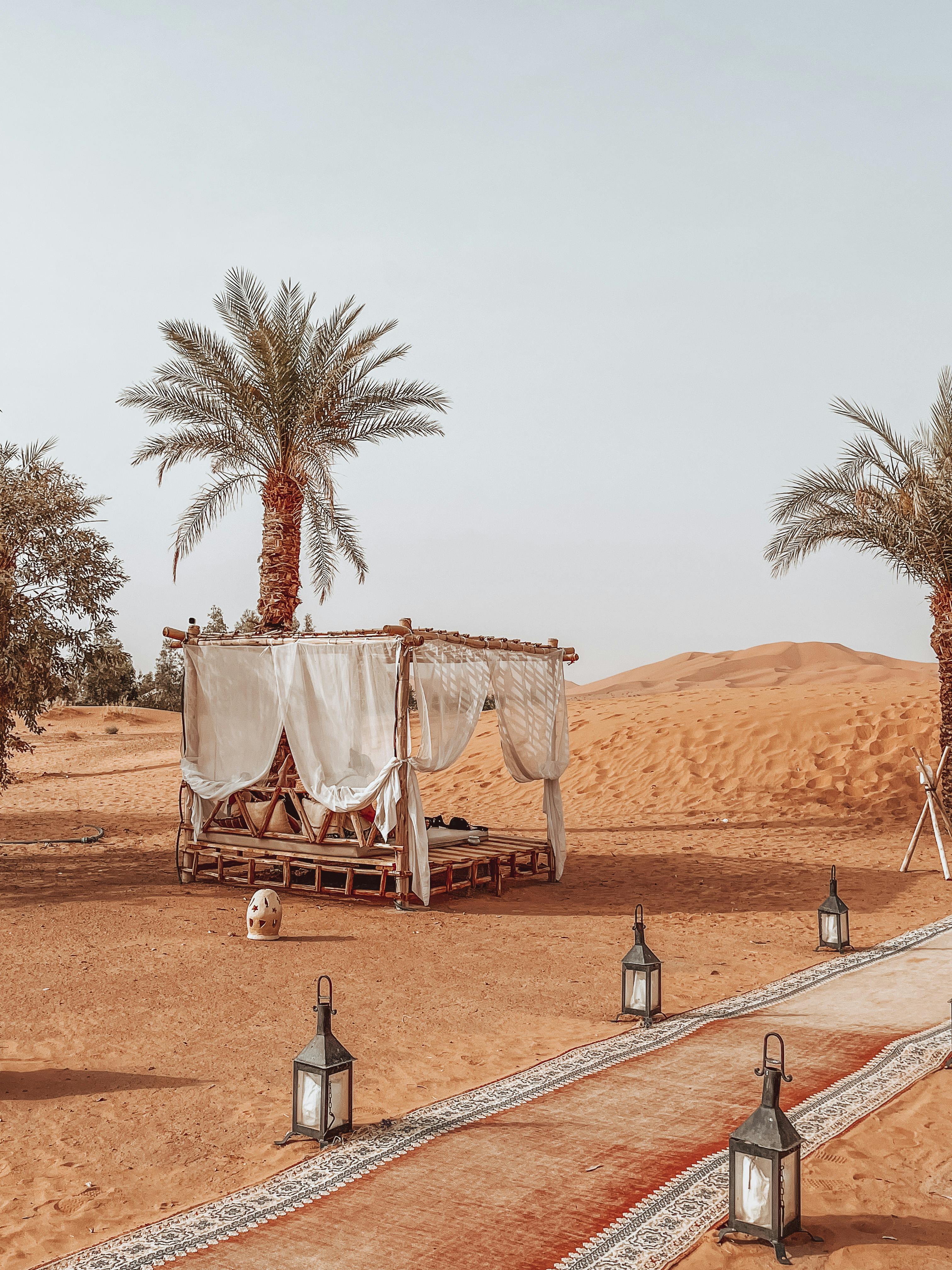 Desert Private Dinner